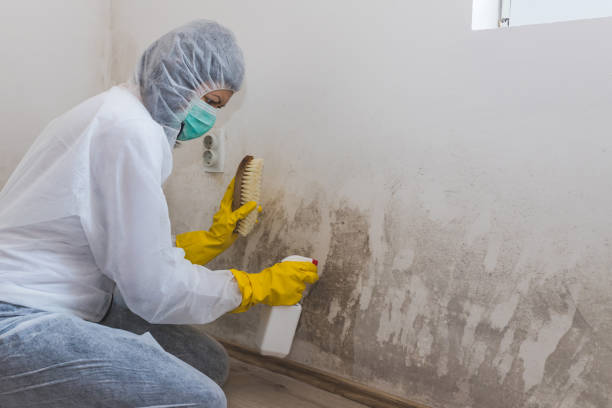 Best Biohazard Mold Removal  in Farmers Loop, AK