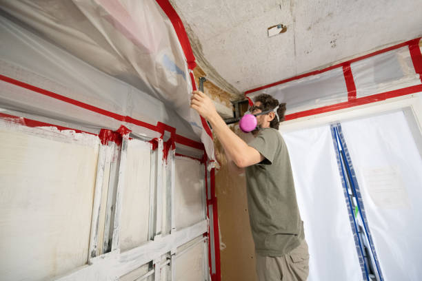 Best Mold Documentation for Insurance Claims  in Farmers Loop, AK