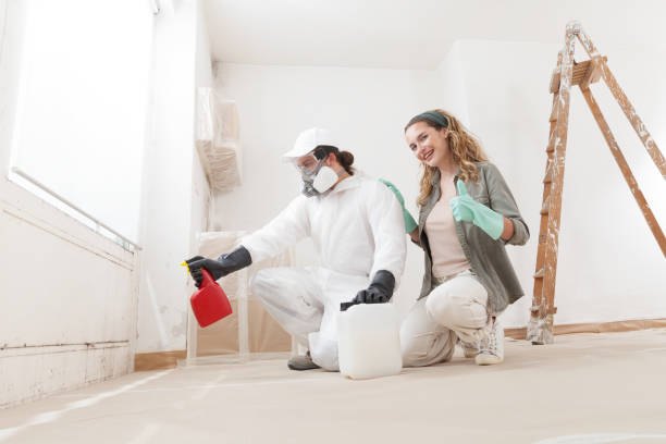 Best Mold Odor Removal Services  in Farmers Loop, AK